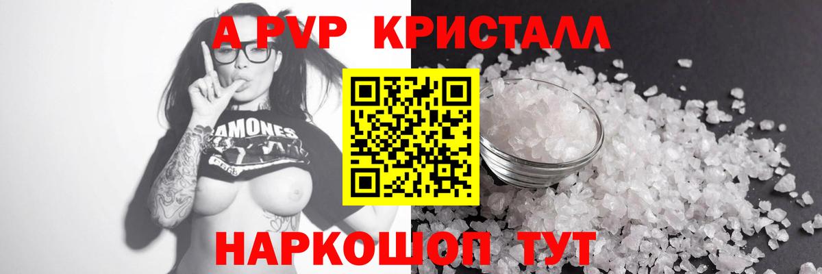 A PVP СК Тара